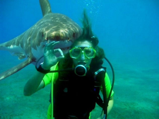 Inaccurate-Sign-Language