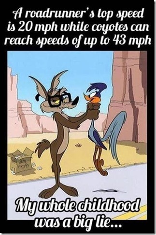 Roadrunner-and-Coyote-Speeds