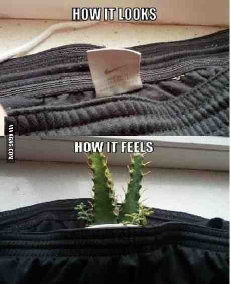 how-it-feels-picture